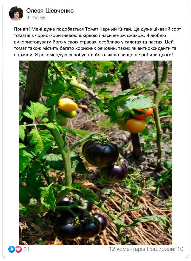 Томат "Чорний Китай"!